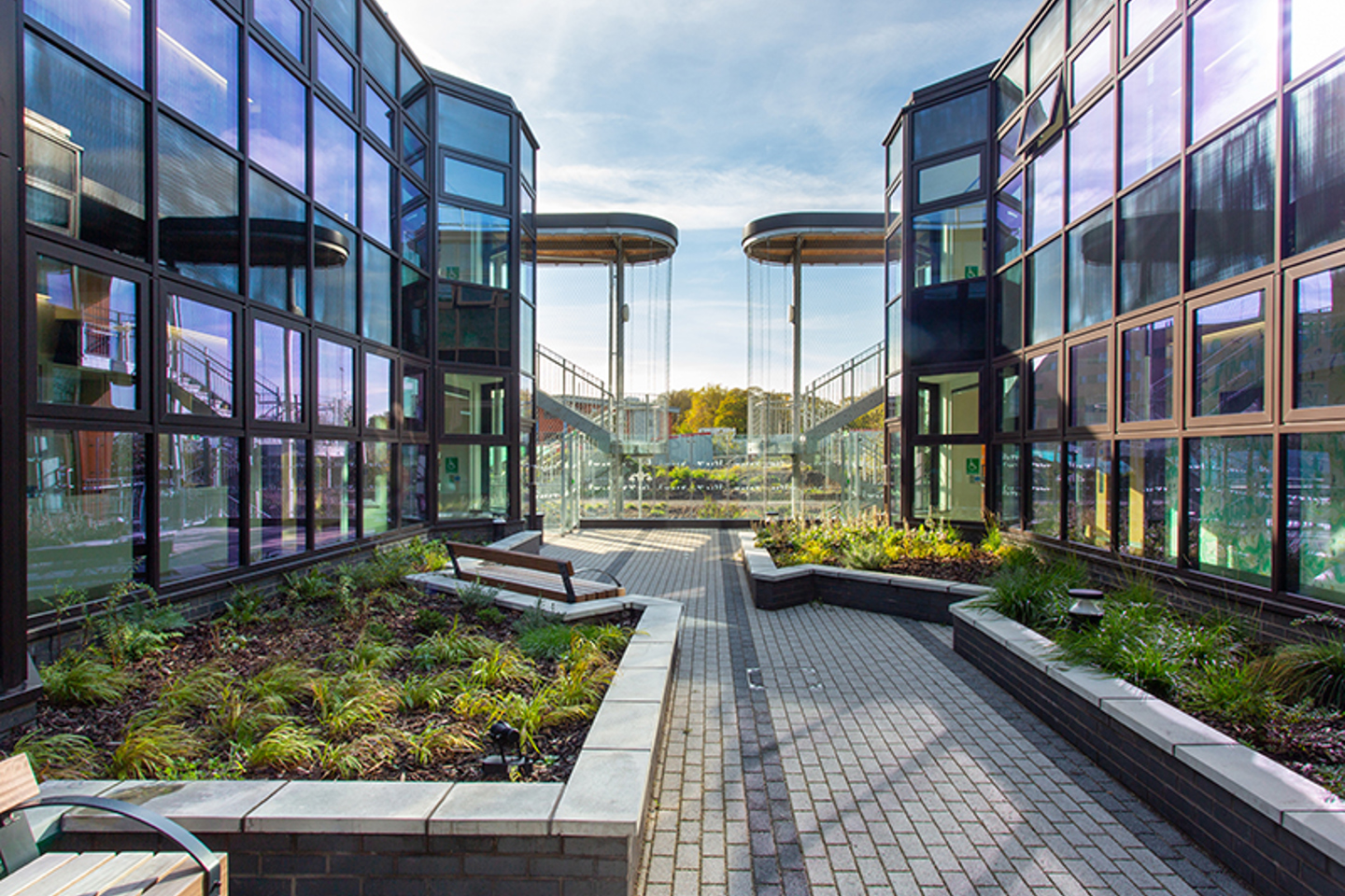 Alder Hey 2